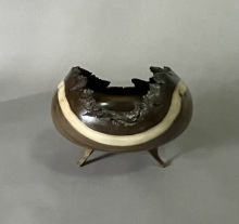 Natural Edge Walnut Open Hollow Form with Carved Feet